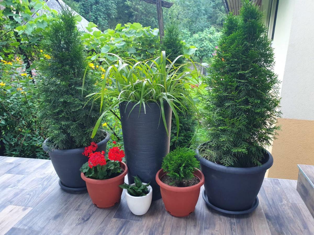 Apartma Maell 1 Most na Soči Exterior foto